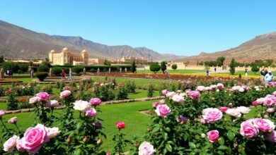 Experience the Magic of Taif: Saudi Arabia's City of Roses